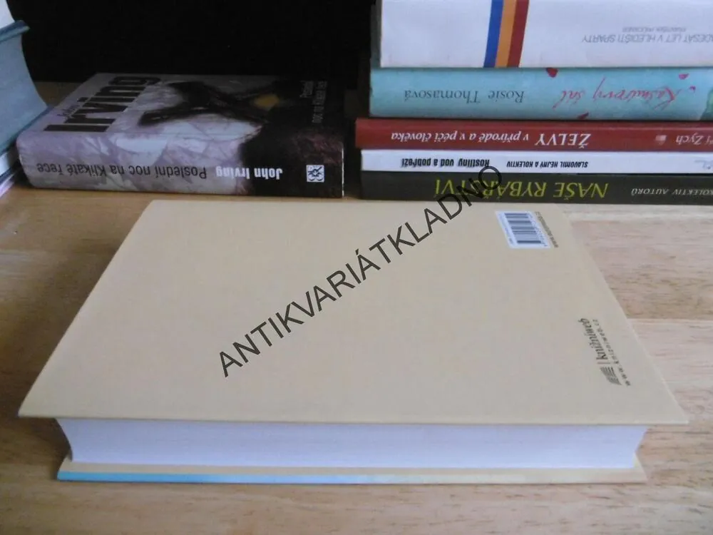 PRAVIDLA MOŠTÁRNY, JOHN IRVING, **an