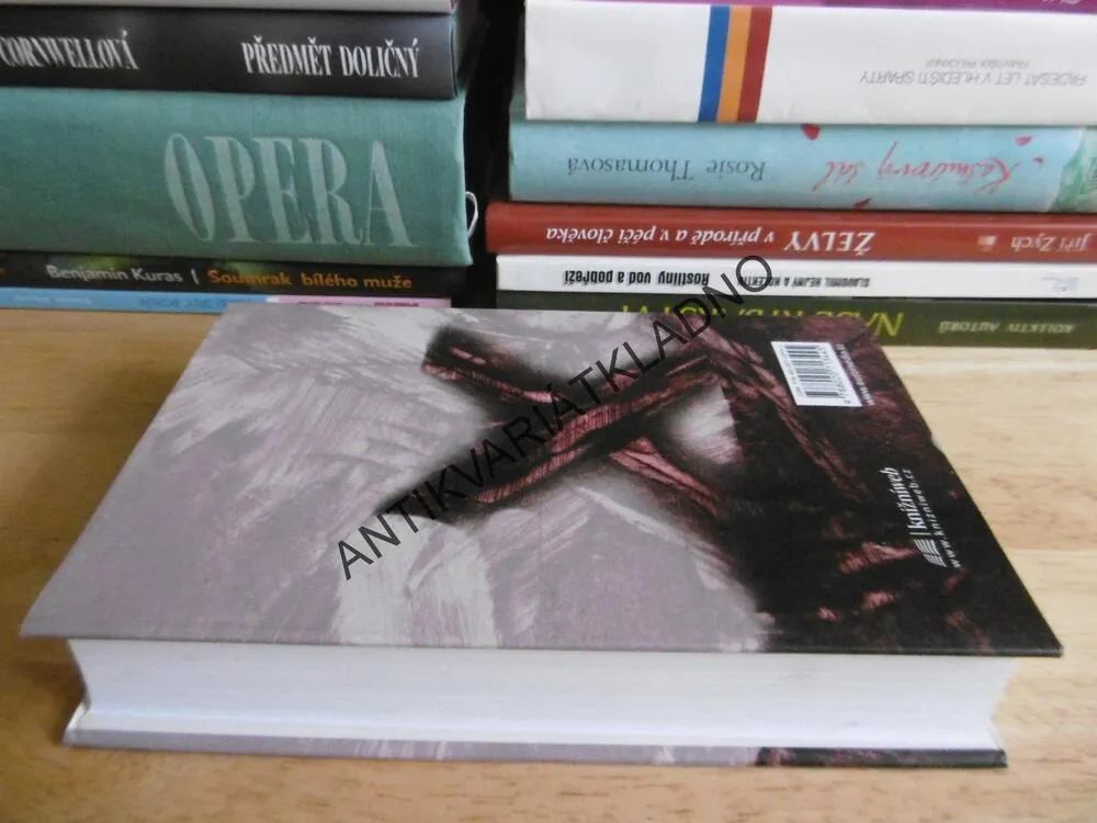 POSLEDNÍ NOC NA KLIKATÉ ŘECE, JOHN IRVING, **an