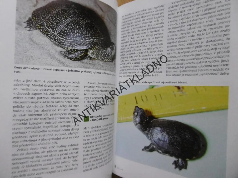 ŽELVY V PŘÍRODĚ A V PÉČI ČLOVĚKA, JIŘÍ ZYCH,