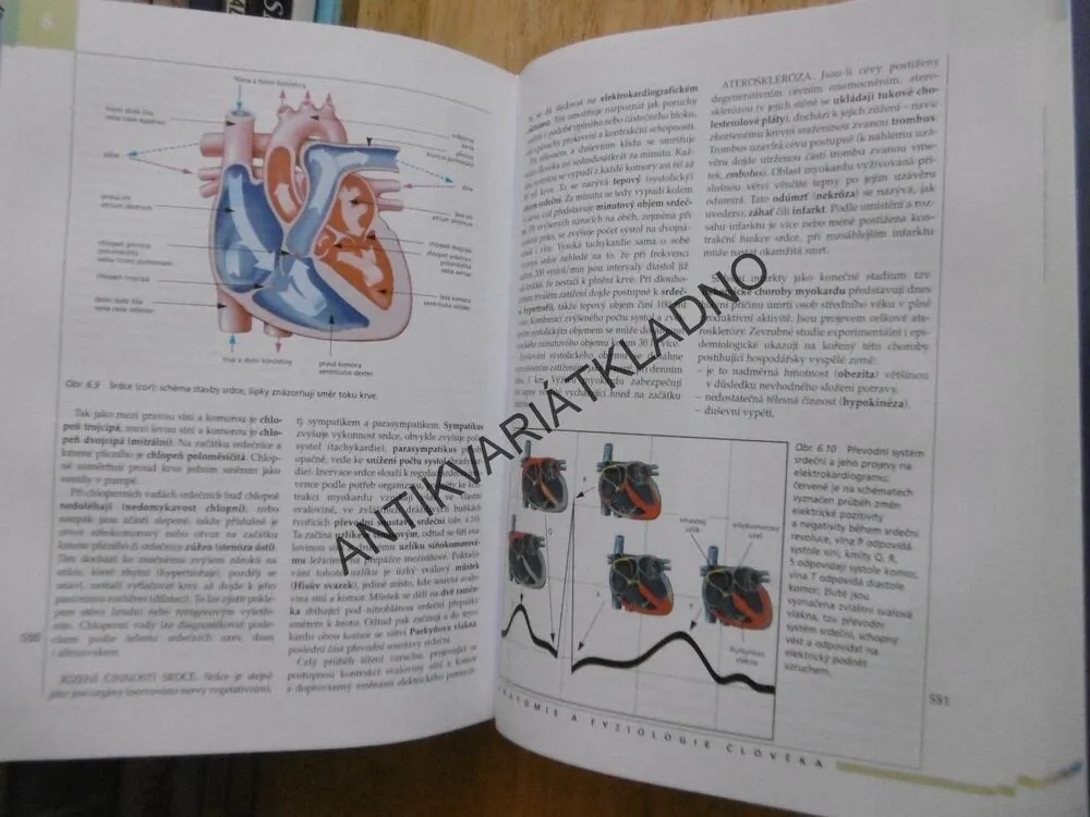 NOVÝ PŘEHLED BIOLOGIE, ROZSYPAL