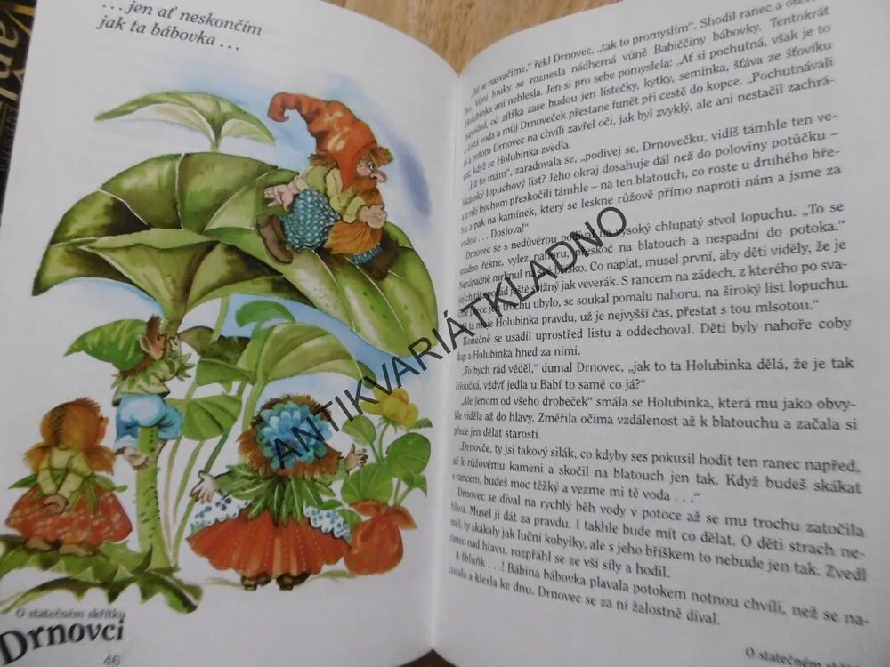 O STATEČNÉM SKŘÍTKU DRNOVCI, VÍTĚZSLAVA KLIMTOVÁ, **an