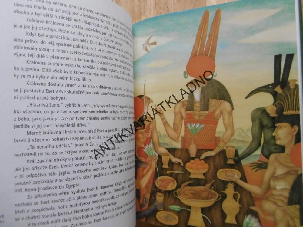 BOHOVÉ A FARAONI, JIŘÍ TOMEK, **an