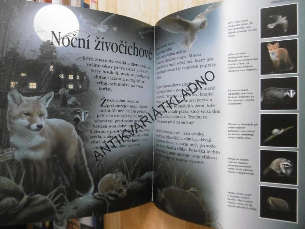 CO SE DĚJE V NOCI, ČTENÍ PŘED SPANÍM, SALLY TAGHOLMOVÁ, **an