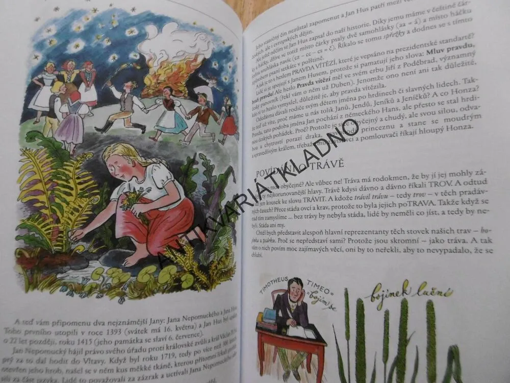 BAREVNÝ ROK, BOŽENA ŠIMKOVÁ, ALENA JANOUŠKOVÁ, **an