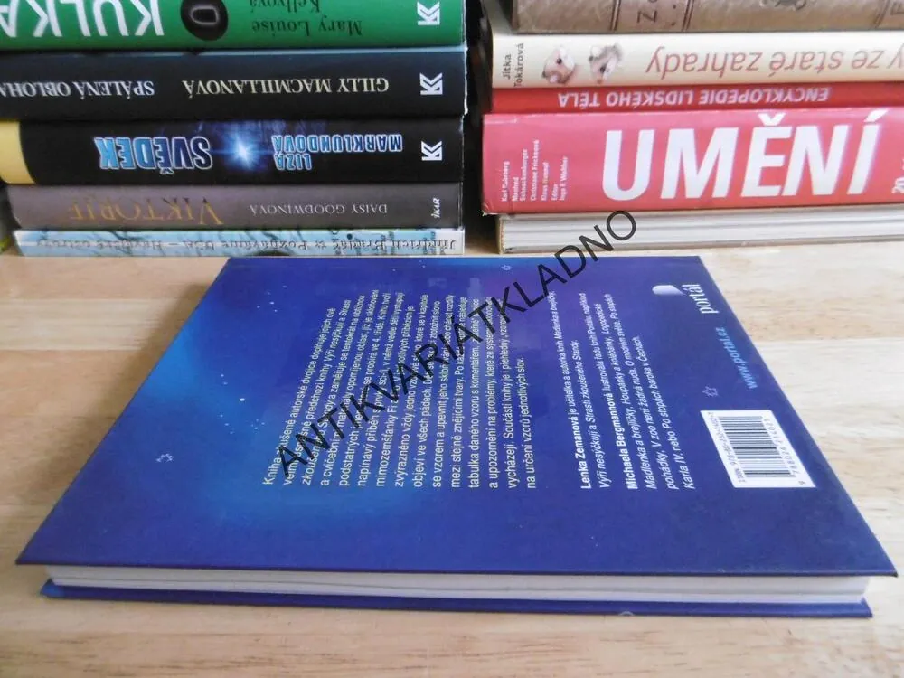 FI A FLO, ZEMANOVÁ, BERGMANNOVÁ, SCIFI PŘÍBĚH O SKLOŇOVÁNÍ PODSTATNÝCH JMEN