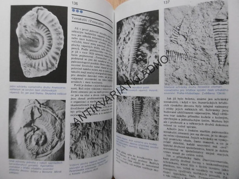 ZKAMENĚLÝ SVĚT, RUDOLF PROKOP, ARCHEOLOGIE