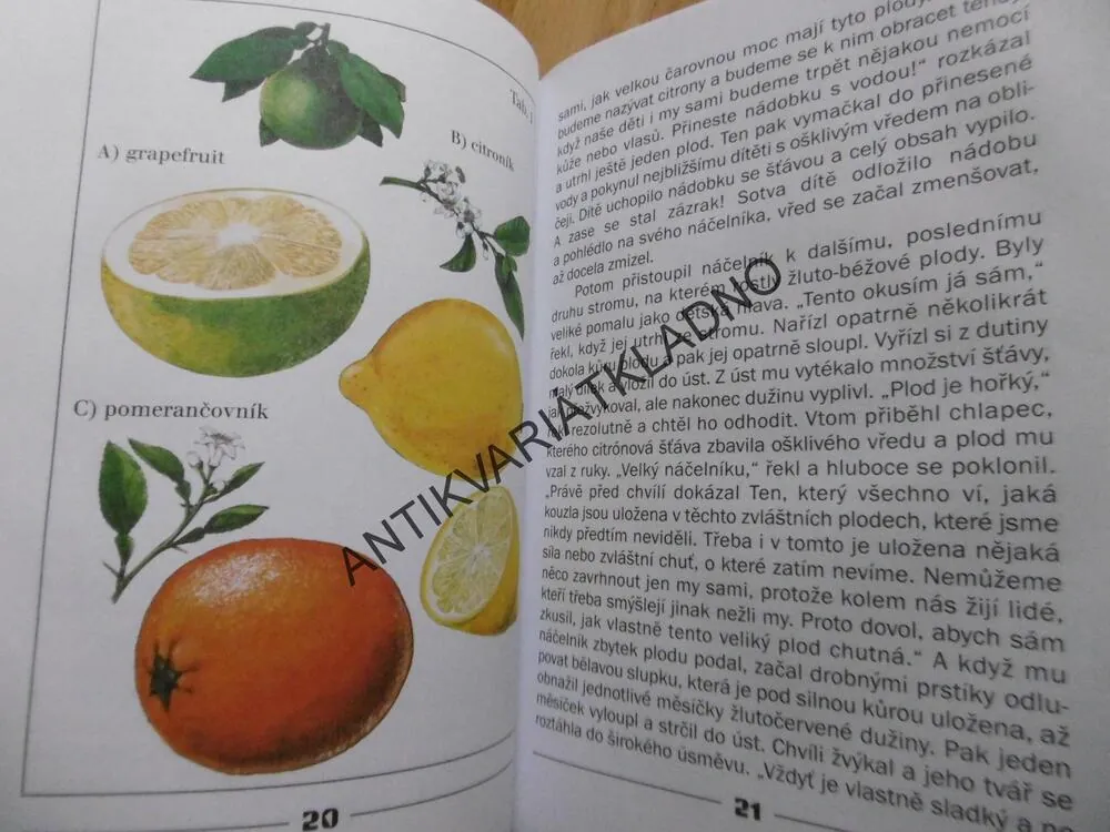 POHÁDKY Z AFRIKY, LUDĚK FIALA, EDITA PLICKOVÁ, **an