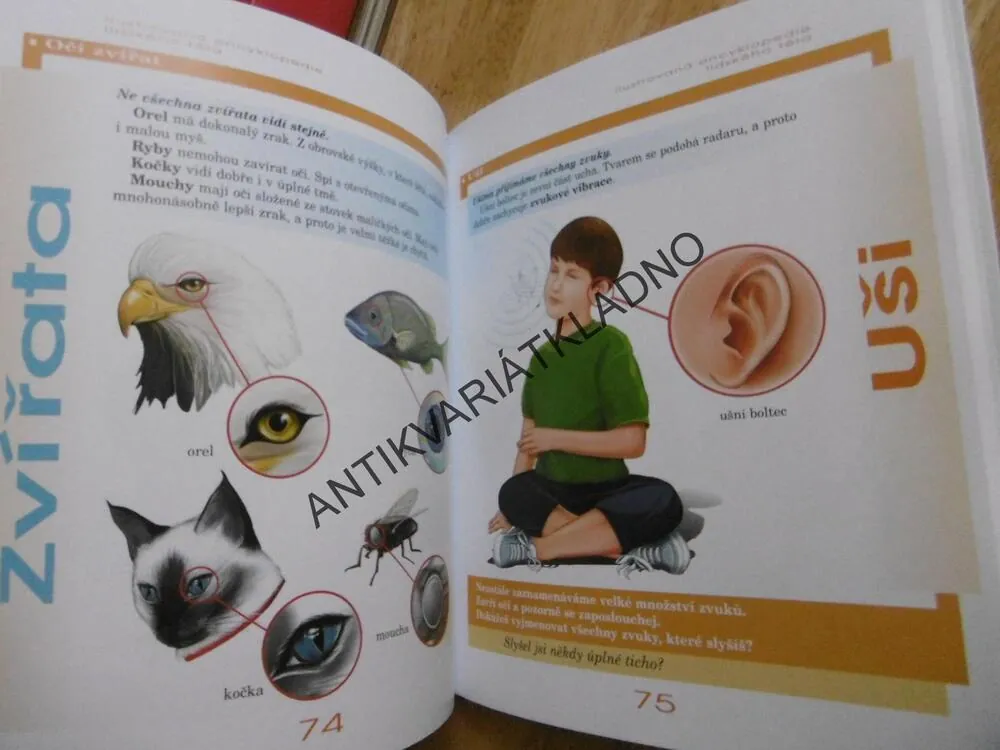 ENCYKLOPEDIE LIDSKÉHO TĚLA, LIDSKÉ TĚLO, PRO ZVÍDAVÉ KLUKY A HOLKY, **an