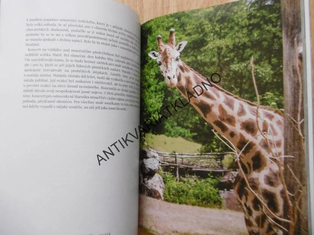 PŘÍBĚHY ZVÍŘÁTEK, ZOOLOGICKÁ ZAHRADA JAK JI NEZNÁTE, FRANTIŠEK HYKEŠ