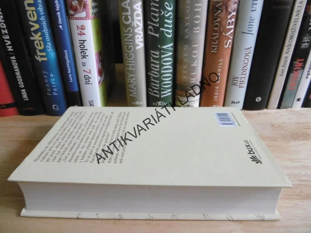 TAJNÉ DENÍKY CHARLOTTY BRONTËOVÉ, SYRIE JAMESOVÁ, **an