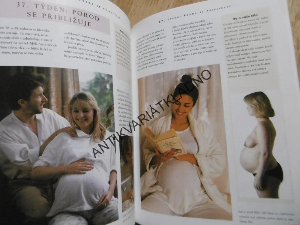 TĚHOTENSTVÍ, TÝDEN PO TÝDNU, PRAKTICKÁ PŘÍRUČKA, ALISON MACKONOCHIEOVÁ, **an