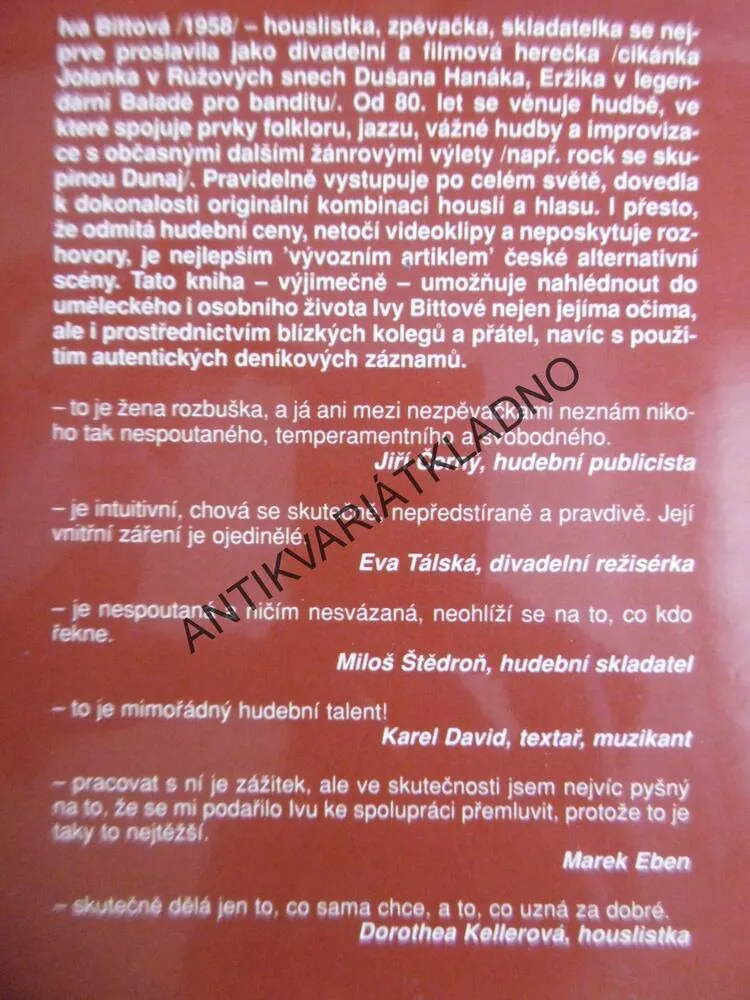 IVA BITTOVÁ, LENKA JAKLOVÁ, ZPĚVAČKA, HOUSLISTA, **an