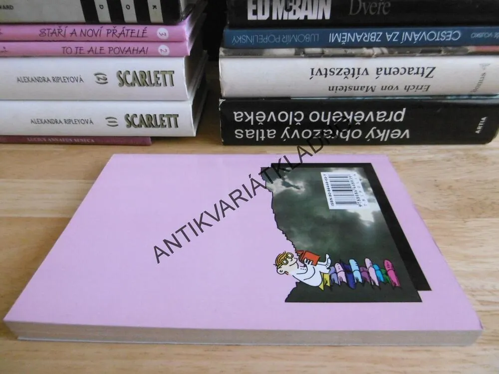 ČESKÝ JAZYK PRO 2., VĚRA MARTINKOVÁ