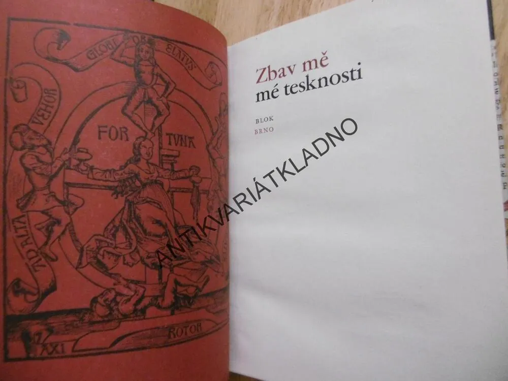 ZBAV MĚ MÉ TESKNOSTI,KOPECKÝ , MERTLÍK, 1983, **an