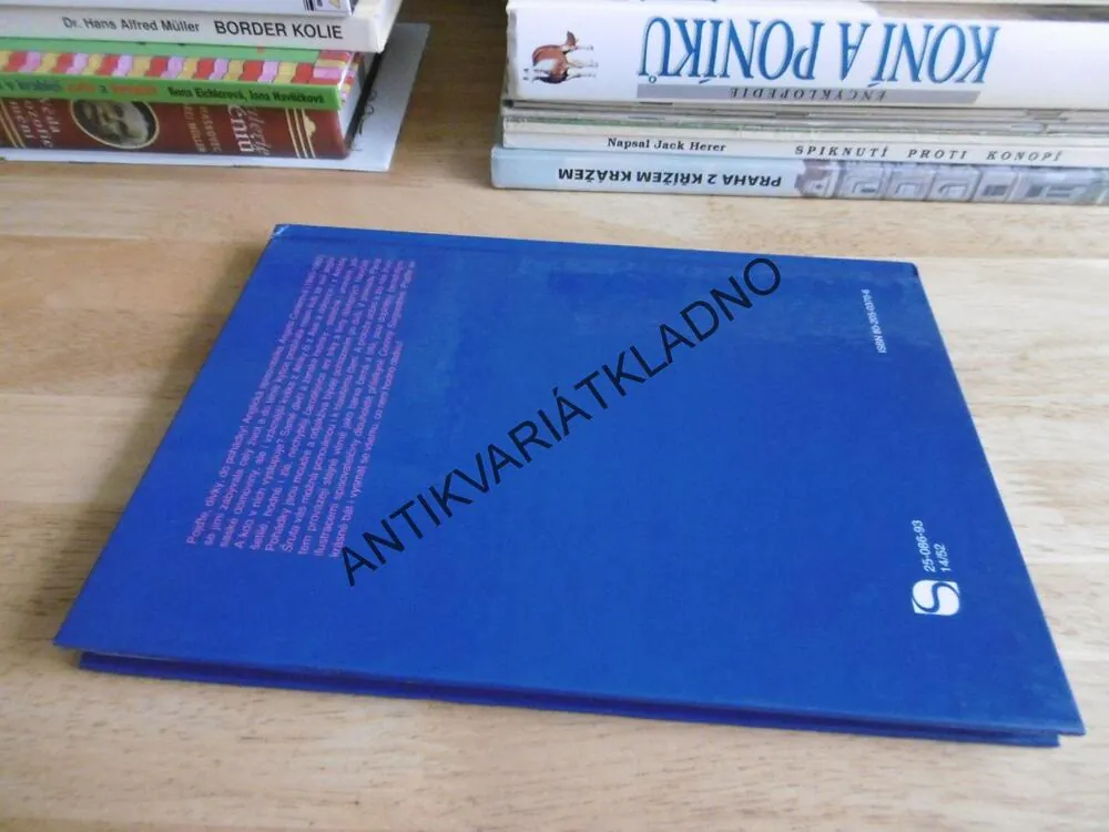 KYTICE DÍVČÍCH POHÁDEK, ANGELA CARTEROVÁ, **an