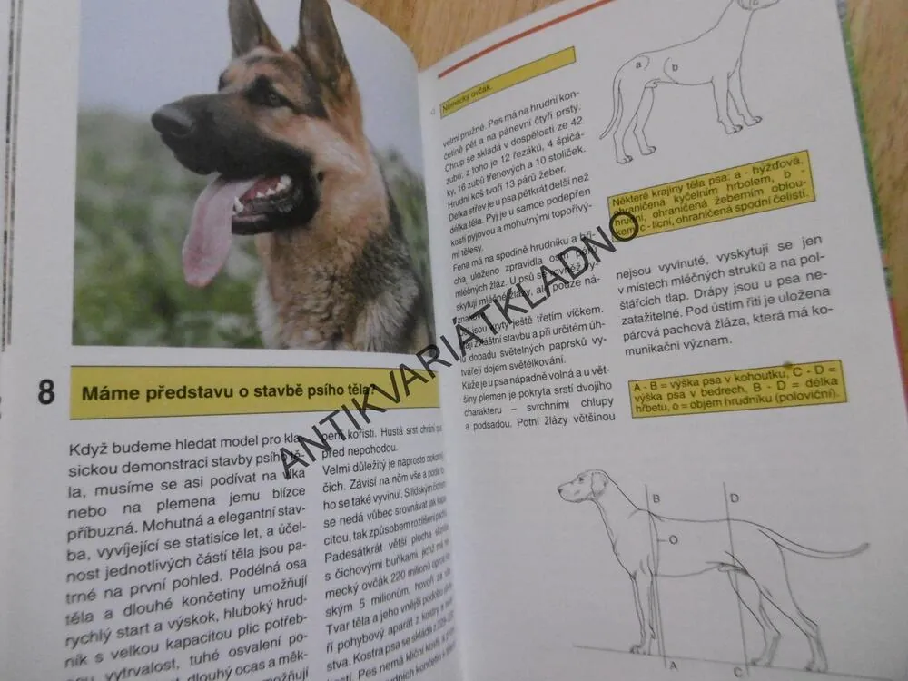88 RAD CHOVATELŮM PSŮ, CHOVATELSTVÍ, CHOVATEL, PAVEL TRUHLÁŘ, **an