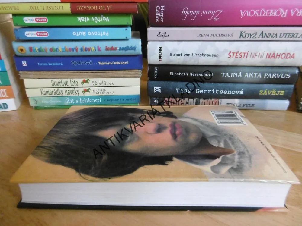 CHLADNÝ BARBAR, MICK JAGGER, CHRISTOPHER SANDFORD, ROLLING STONES, **an