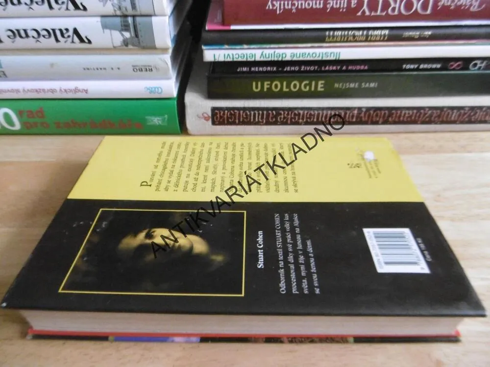 NEVIDITELNÝ SVĚT, STUART COHEN, **an