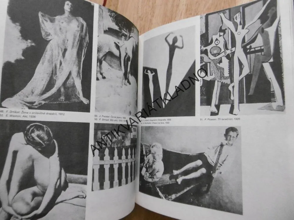FOTOGRAFIE PRO LIDOVÉ ŠKOLY UMĚNÍ, MILOSLAV STIBOR, FOTOGRAF, FOTOGRAFIE, **an