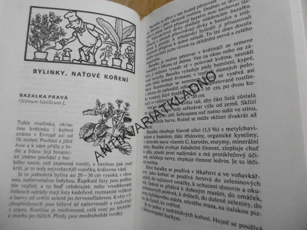 VITAMÍNY Z DOMOVA I Z DALEKA, KUCHAŘKA, RECEPTY,DAGMAR LÁNSKÁ, BOHUMÍR HLAVA, 1982, NEPRAKTA, **an