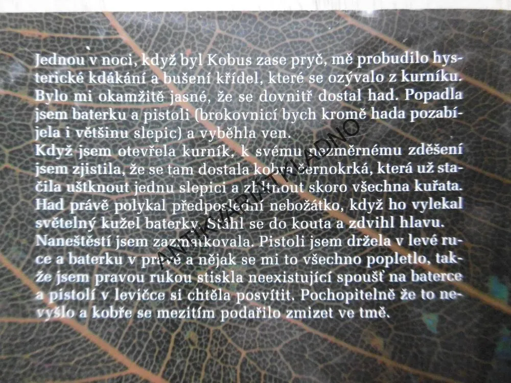 RODINA Z DIVOČINY, KOBIE KRÜGEROVÁ, **an