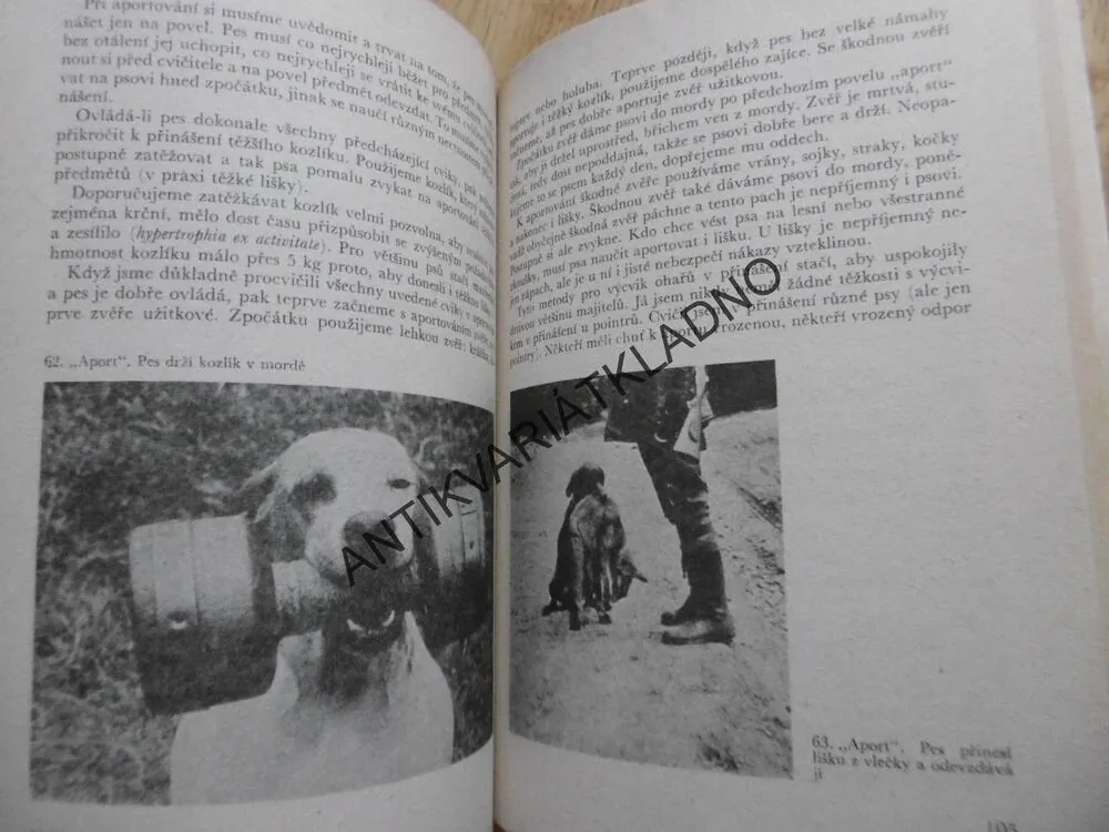 VÝCHOVA A VÝCVIK OHAŘE, JOSEF KVÍZ, LOVECKÝ PES, CHOVATELSTVÍ