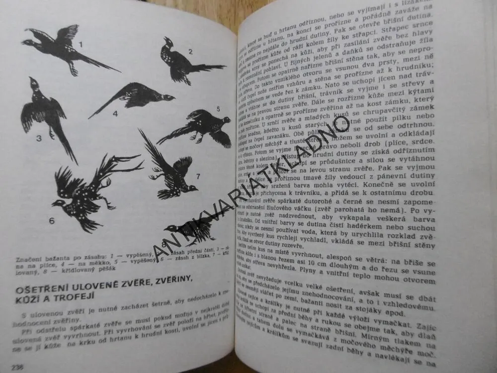 ZÁKLADY MYSLIVOSTI, RAKUŠAN, 1979