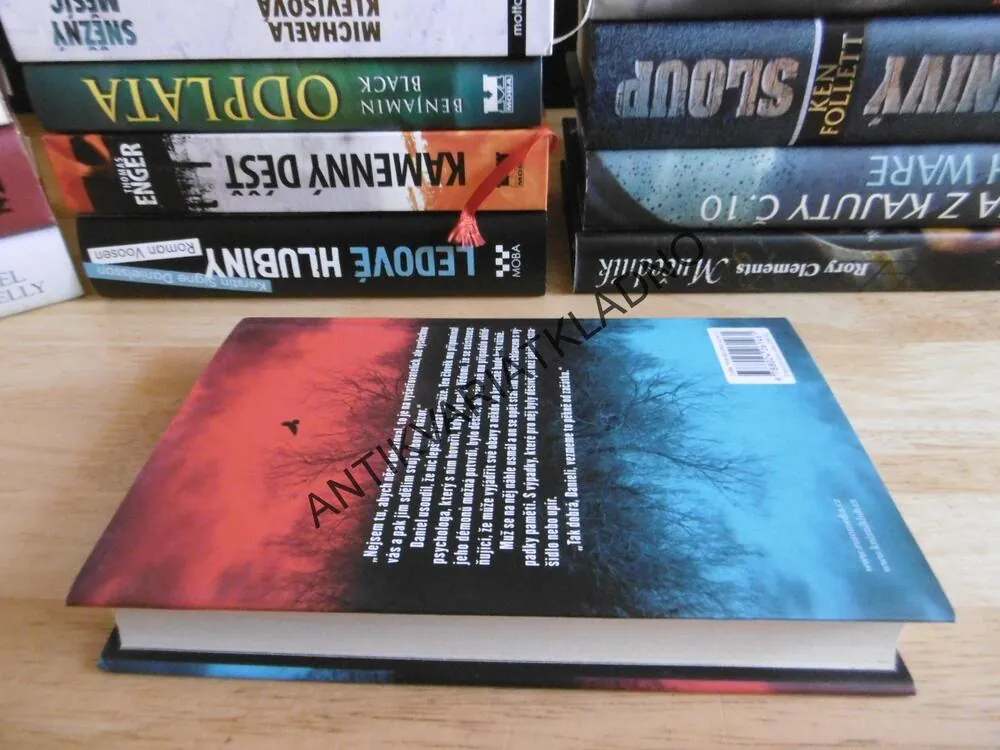 SYN VRAŽEDKYNĚ, JOY ELLISOVÁ, **an