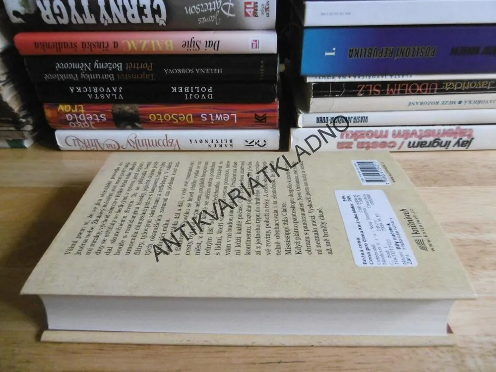 BÍLÝ NÁČELNÍK, CHARLES FRAZIER, **an