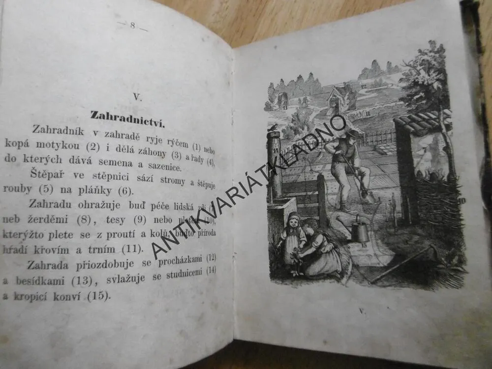 ZLATÉ LÍSTKY, DÁREK ÚTLOVĚKÝM DÍVKÁM DO ZLATÉ KNIHY, JANOTA, 1864
