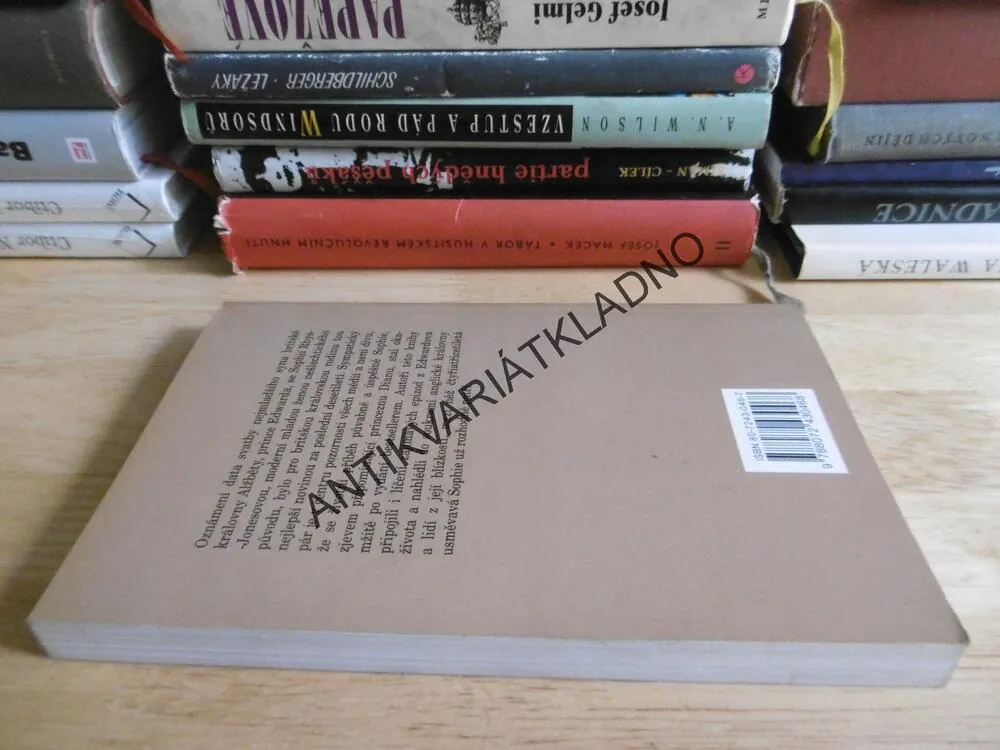 OD TAJNÝCH ZÁSNUB KE KRÁLOVSKÉ SVATBĚ, SEAN SMITH, GARTH GIBBS,