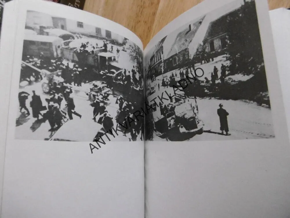 OSUD JEDNOHO ČECHA,ILONA BORSKÁ, 1984,**an