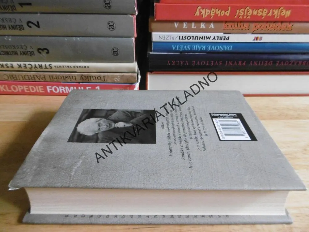 BŮH VÍ, JOSEPH HELLER, **an