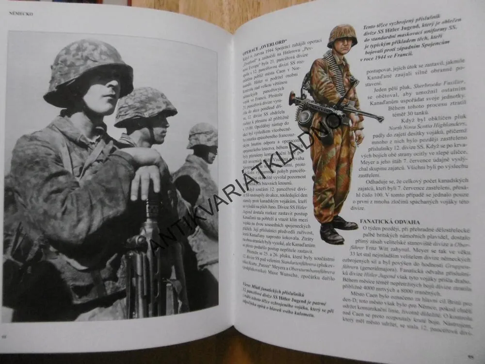ENCYKLOPEDIE ELITNÍCH JEDNOTEK DRUHÉ SVĚTOVÉ VÁLKY, MICHAEL E. HASKEW, **an