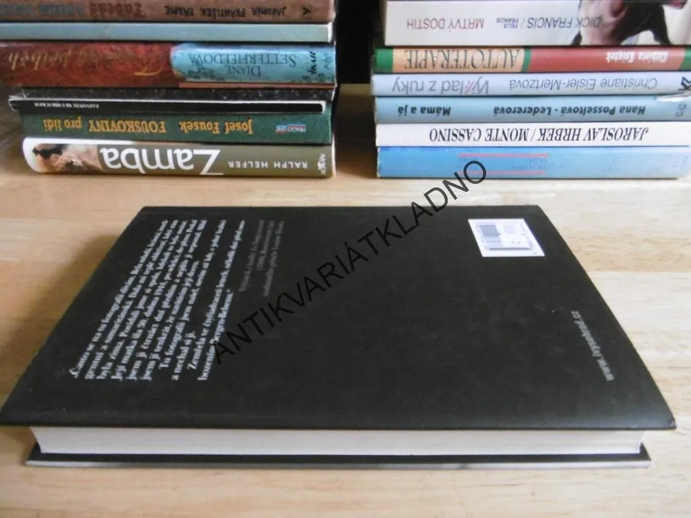DENÍK HÉLÉNE BERROVÁ, DENÍK ŽIDOVSKÉ DÍVKY V OKUPOVANÉ FRANCII 1942-44, **an