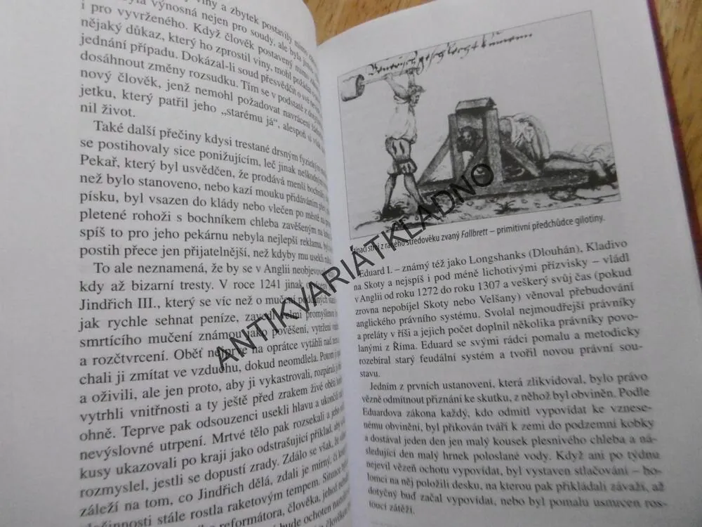 NEJKRUTĚJŠÍ METODY MUČENÍ V DĚJINÁCH, MARK P. DONNELLY, DANIEL DIEHL, **an