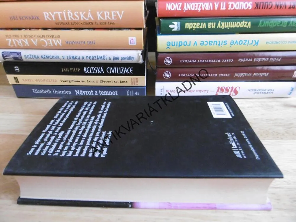 VLÁDCE STÍNŮ, CODY MCFADYEN, **an