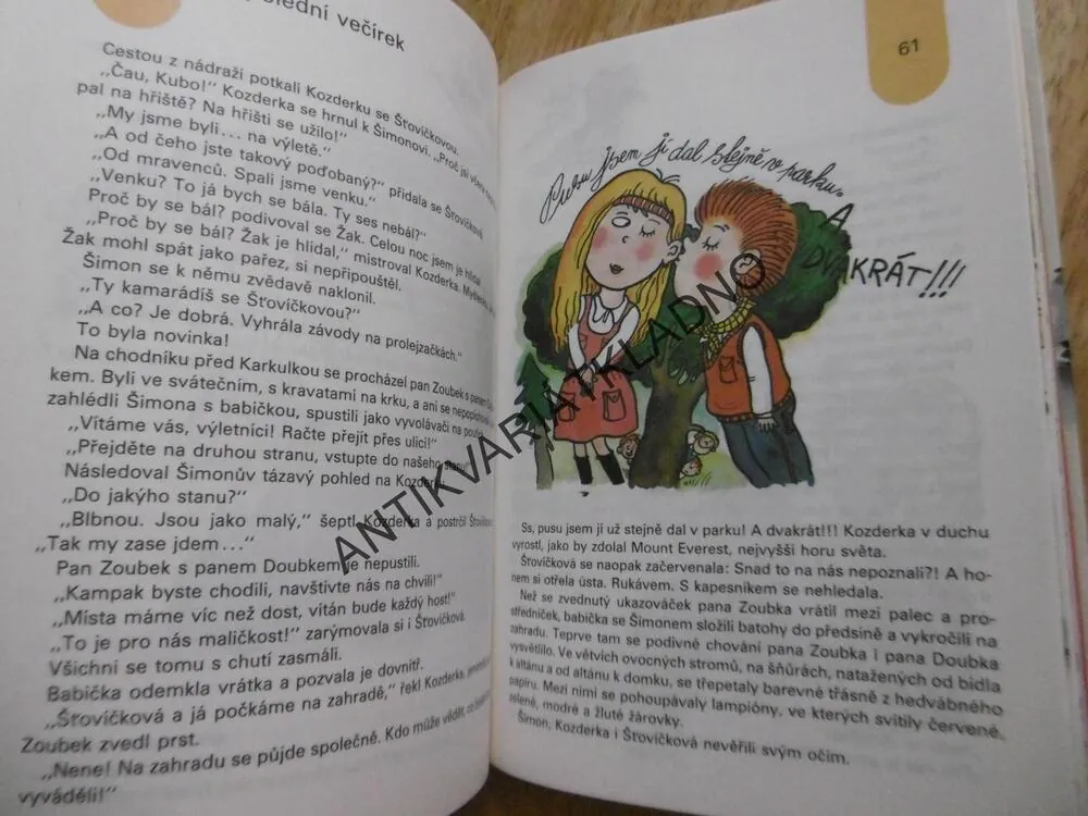 BABIČKA NA INZERÁT, LUDVÍK STŘEDA, 1990, **an