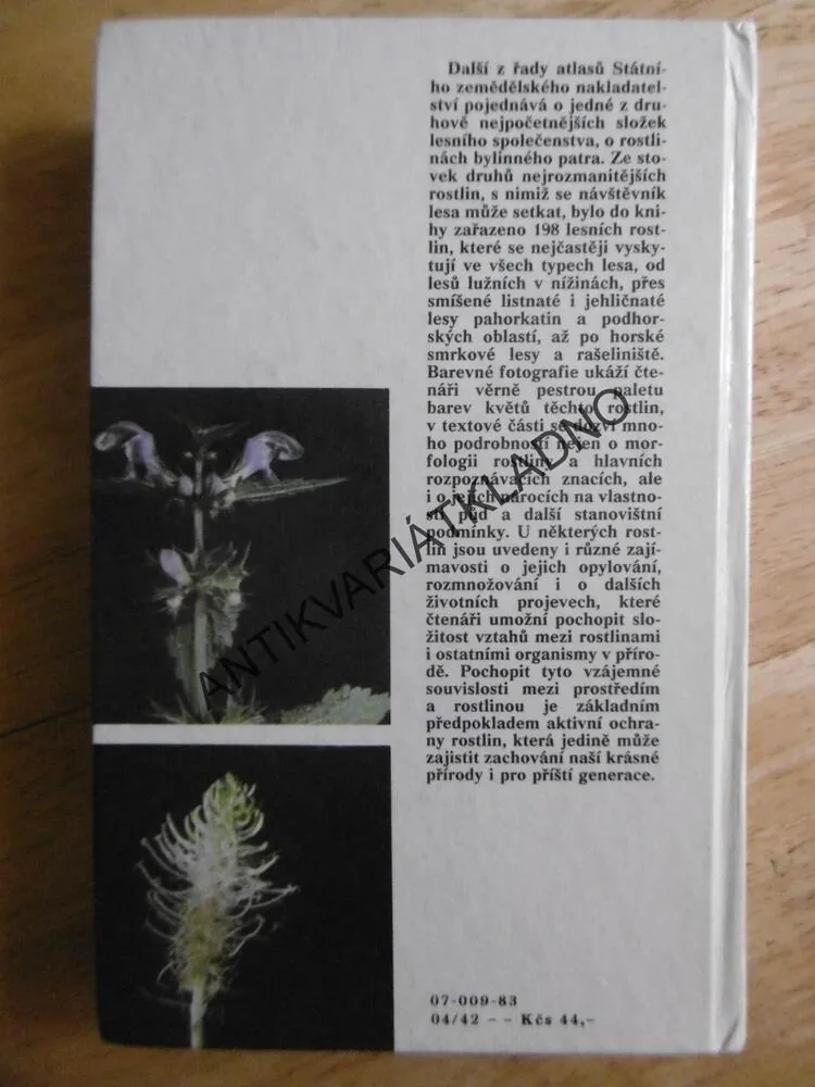 LESNÍ ROSTLINY VE FOTOGRAFII, PORUBA, **an