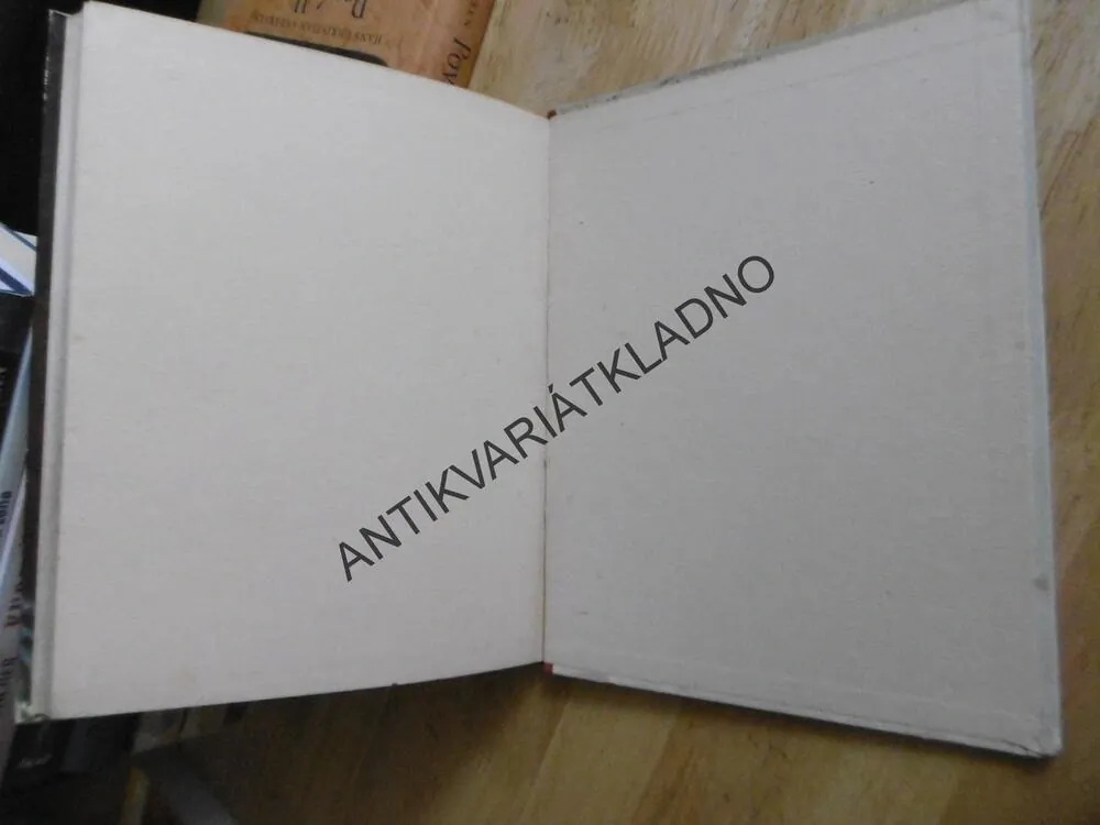 ORLÍ SRDCE, V. ZÍKA, M. NOVÁK, 1942, LETECKÝ ROMÁN