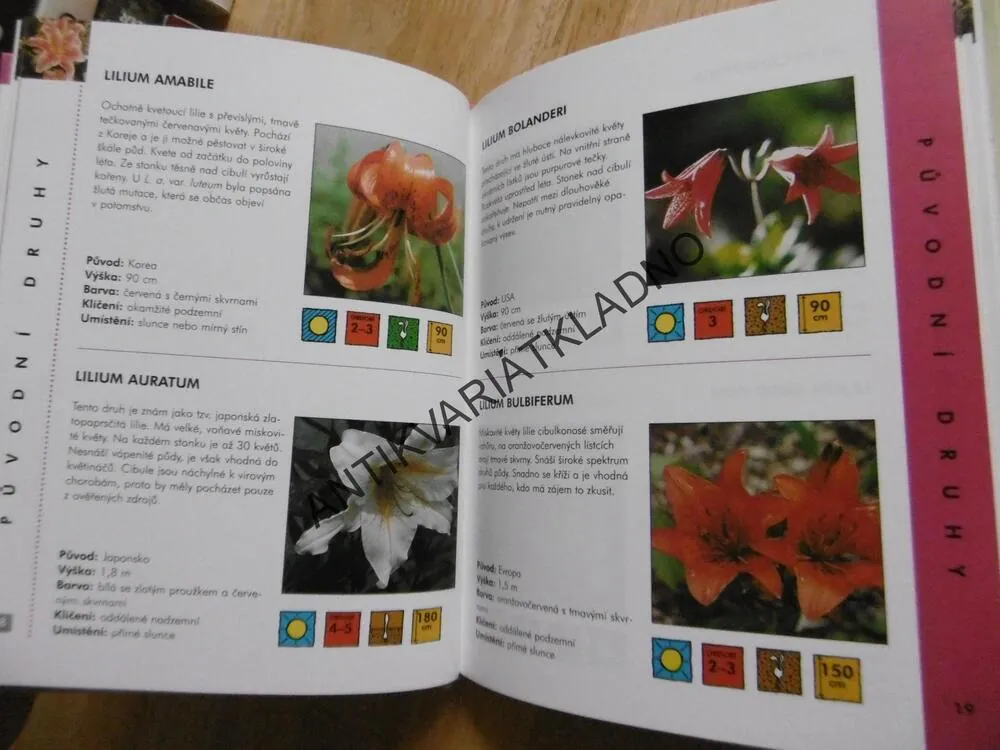 LILIE, OBRAZOVÝ PRŮVODCE 23, **an