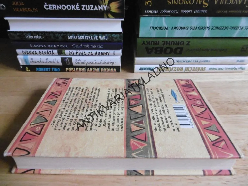 FILOZOF, KTERÝ NEBYL MOUDRÝ, LAURENT GOUNELLE, **an