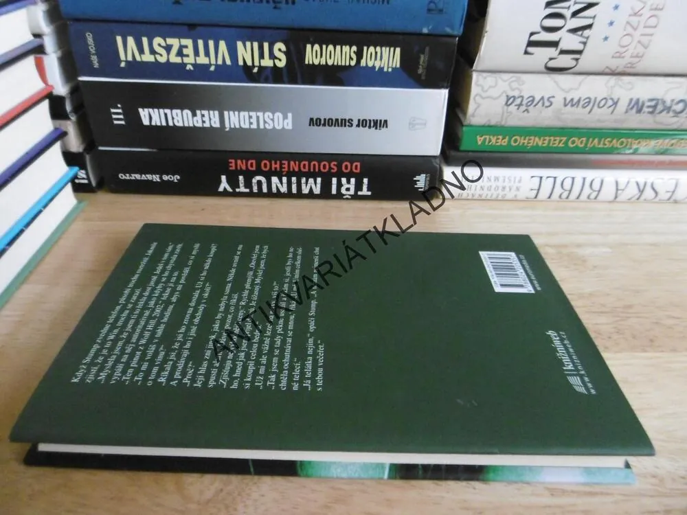 BEZ RIZIKA, PATRICIA CORNWELLOVÁ, **an