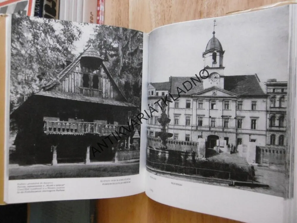 RADNICE, KAREL KIBIC, GOTIKA, RENESANCE, BAROKO..., **an