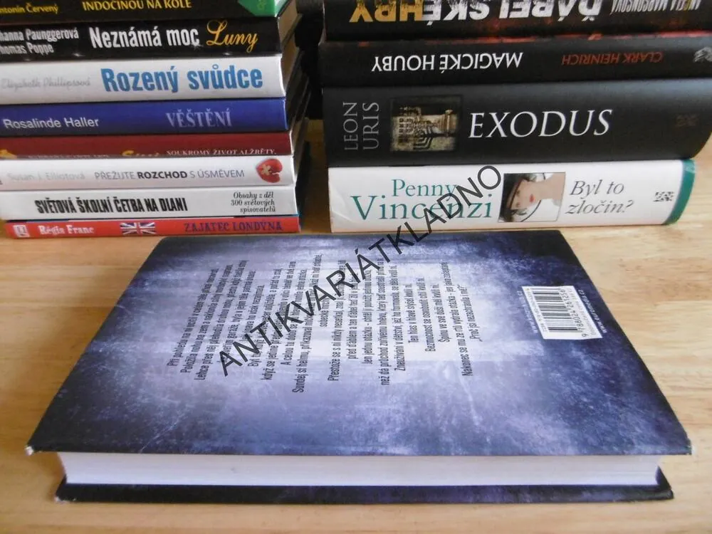 POKREVNÍ POUTA, ANGELA MARSONSOVÁ, **an
