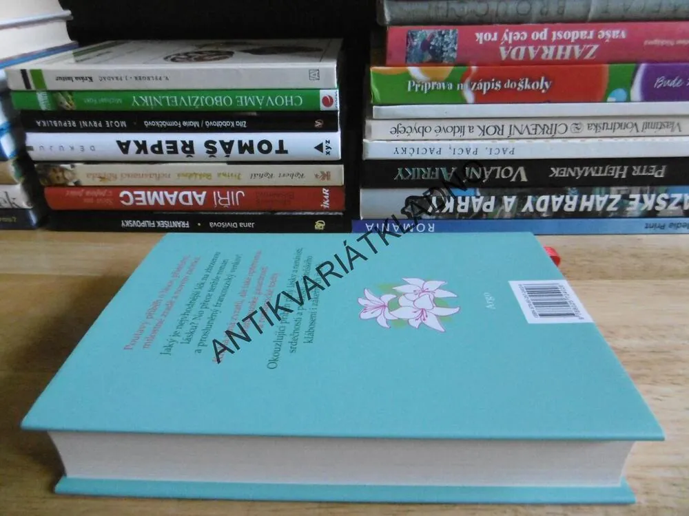 HOTÝLEK V ÚDOLÍ LOIRY, HELEN POLLARDOVÁ, **an