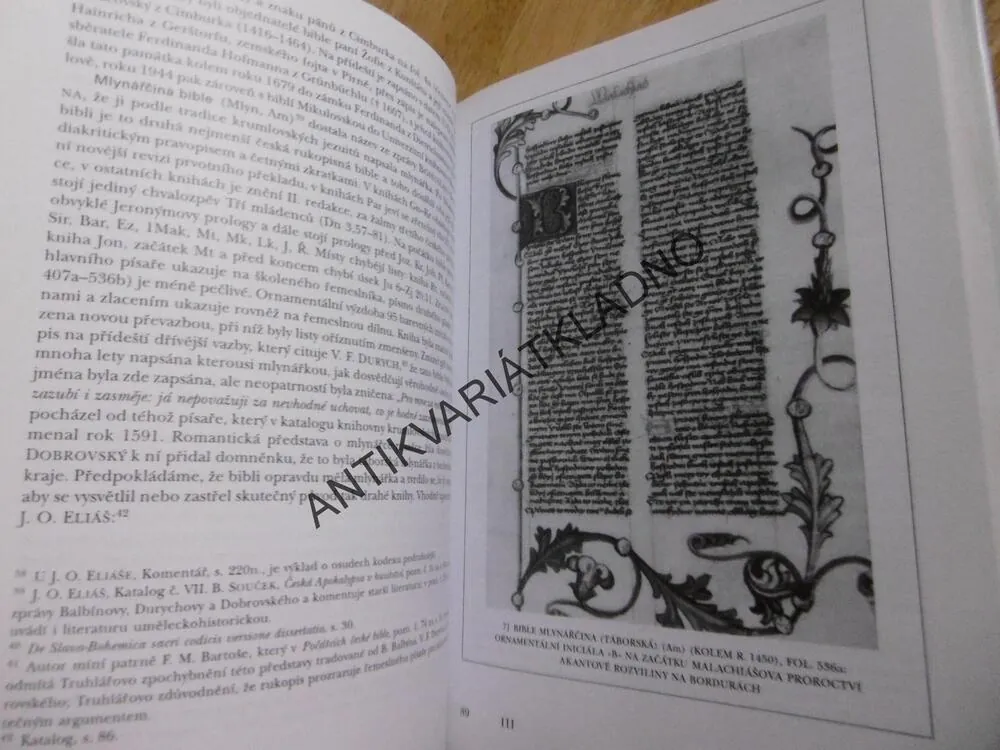 ČESKÁ BIBLE V DĚJINÁCH NÁRODNÍHO PÍSEMNICTVÍ, VLADIMÍR KYAS, **an