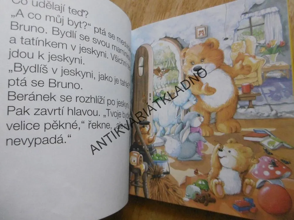 UŽ UMÍM ČÍST, 6-7 LET,**an