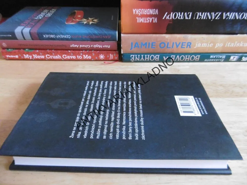SAÚDSKÁ ARÁBIE, MEČ A SLOVO, INA TINOVÁ, **an