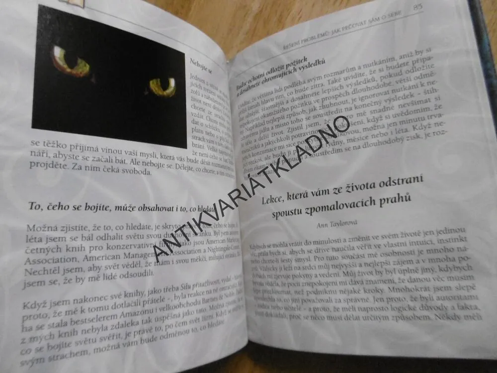 NÁVOD NA ŠŤASTNÝ ŽIVOT, JOE VITALE, **an